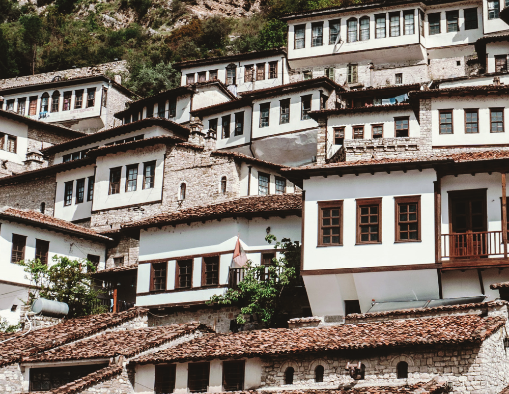 Village Typology Architecture