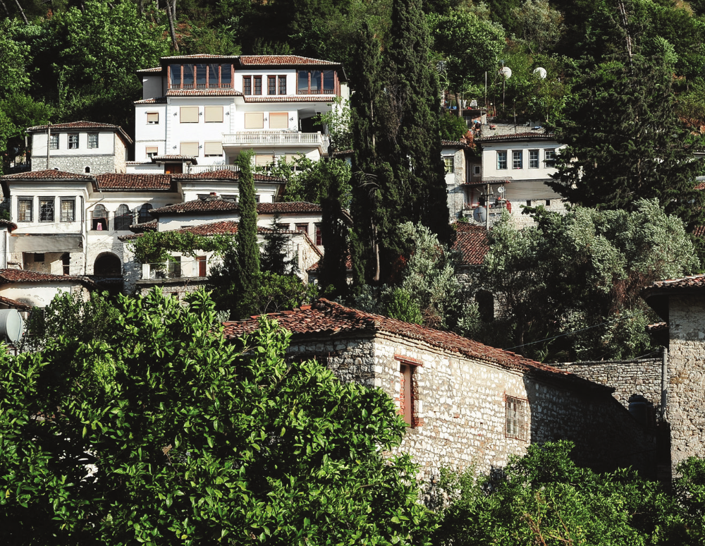 Architecture and Topography Harmony